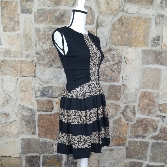 ANTHRO Eva Franco 0 Lace Strata Fit & Flare Dress - Picture 5 of 8